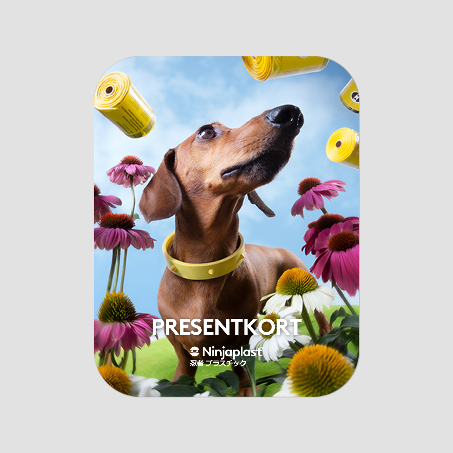 Gift card